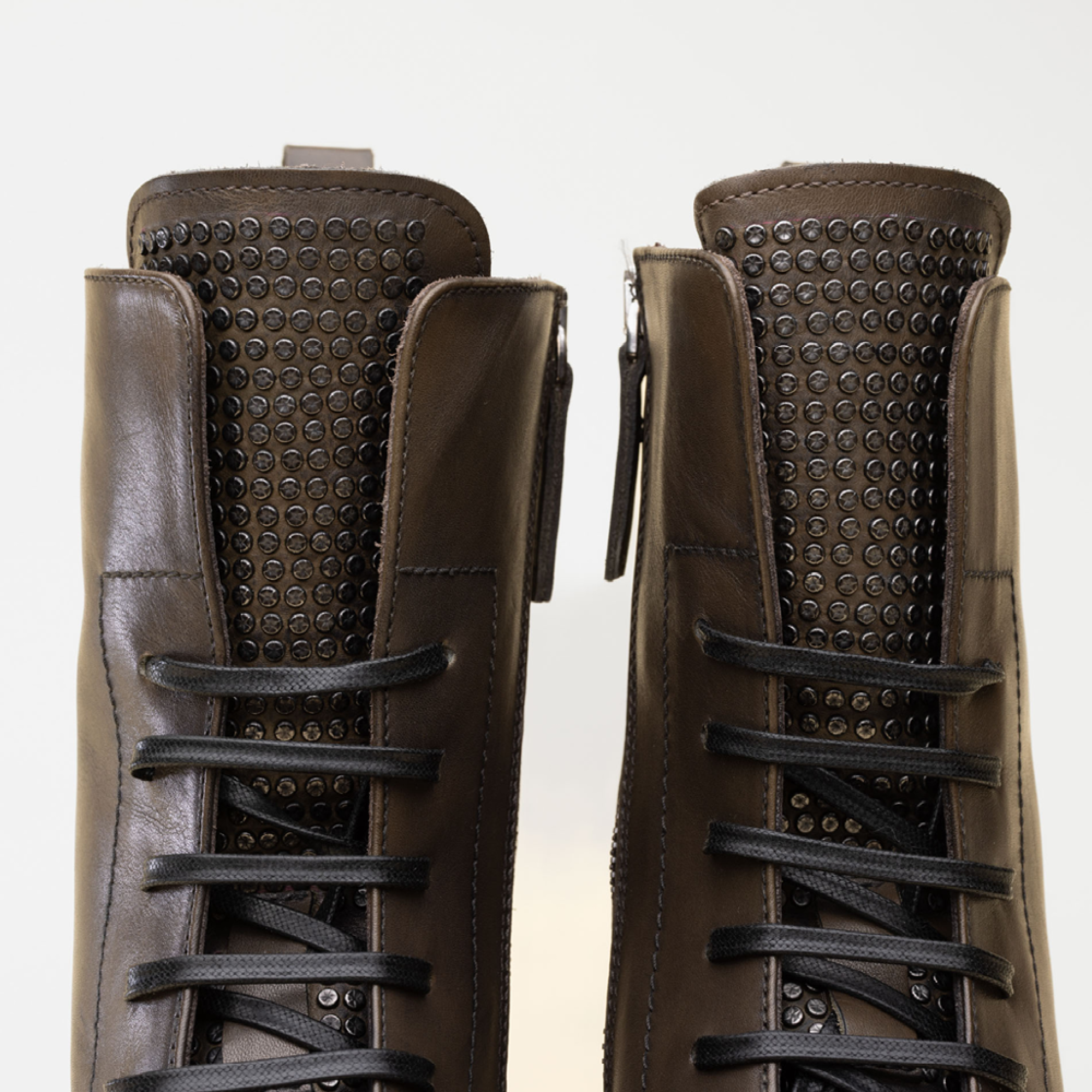 Hardrige, Tylia clous kaki