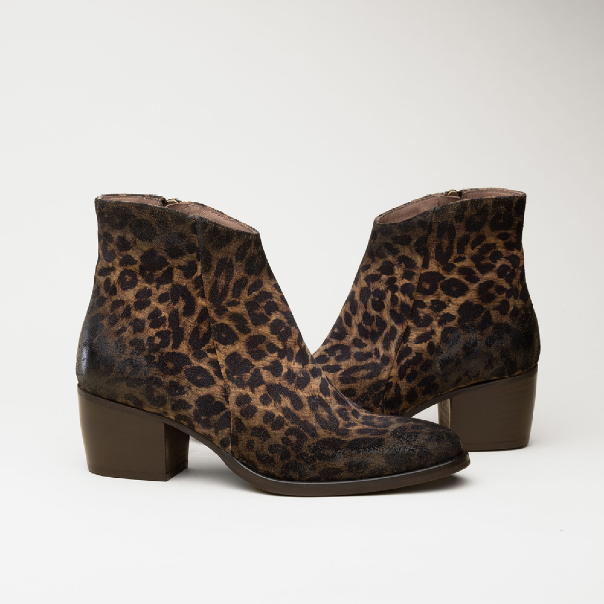 Hardrige, Ashley leopard