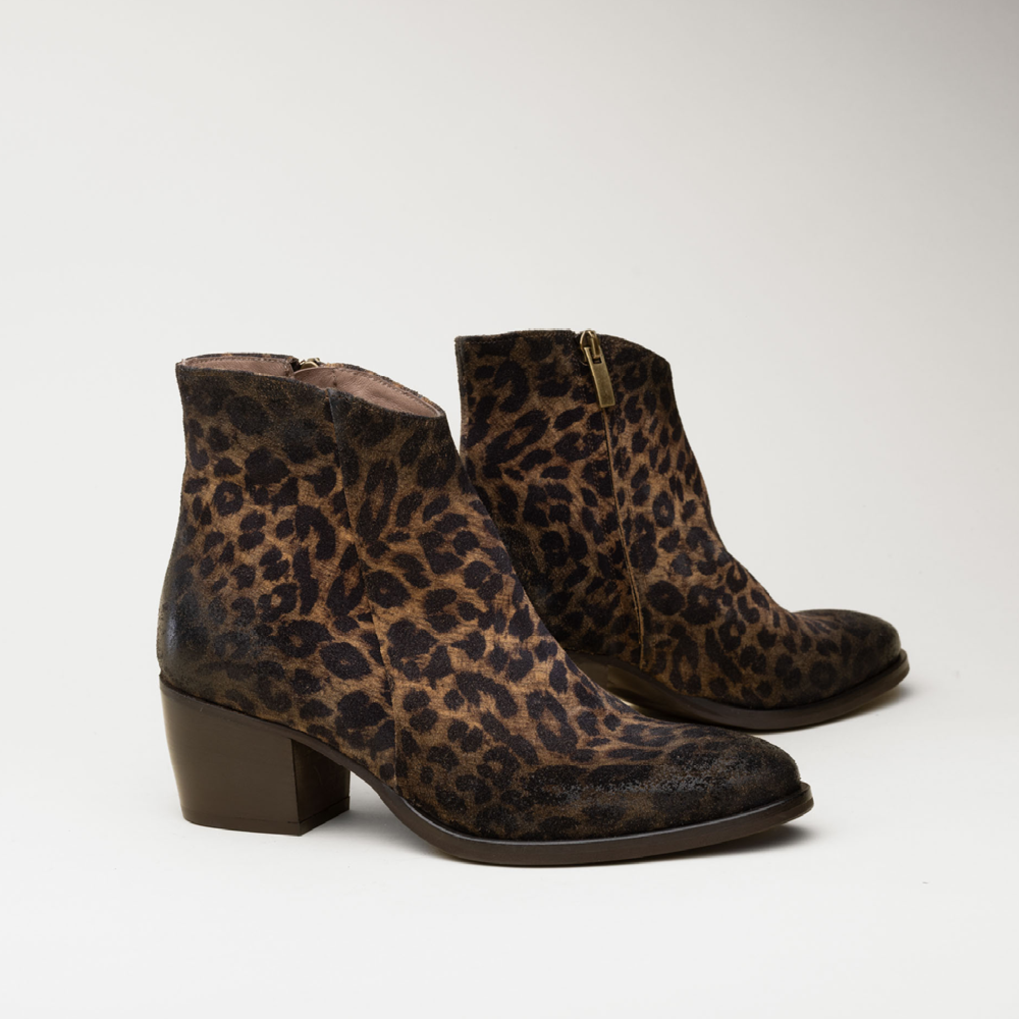 Hardrige, Ashley leopard