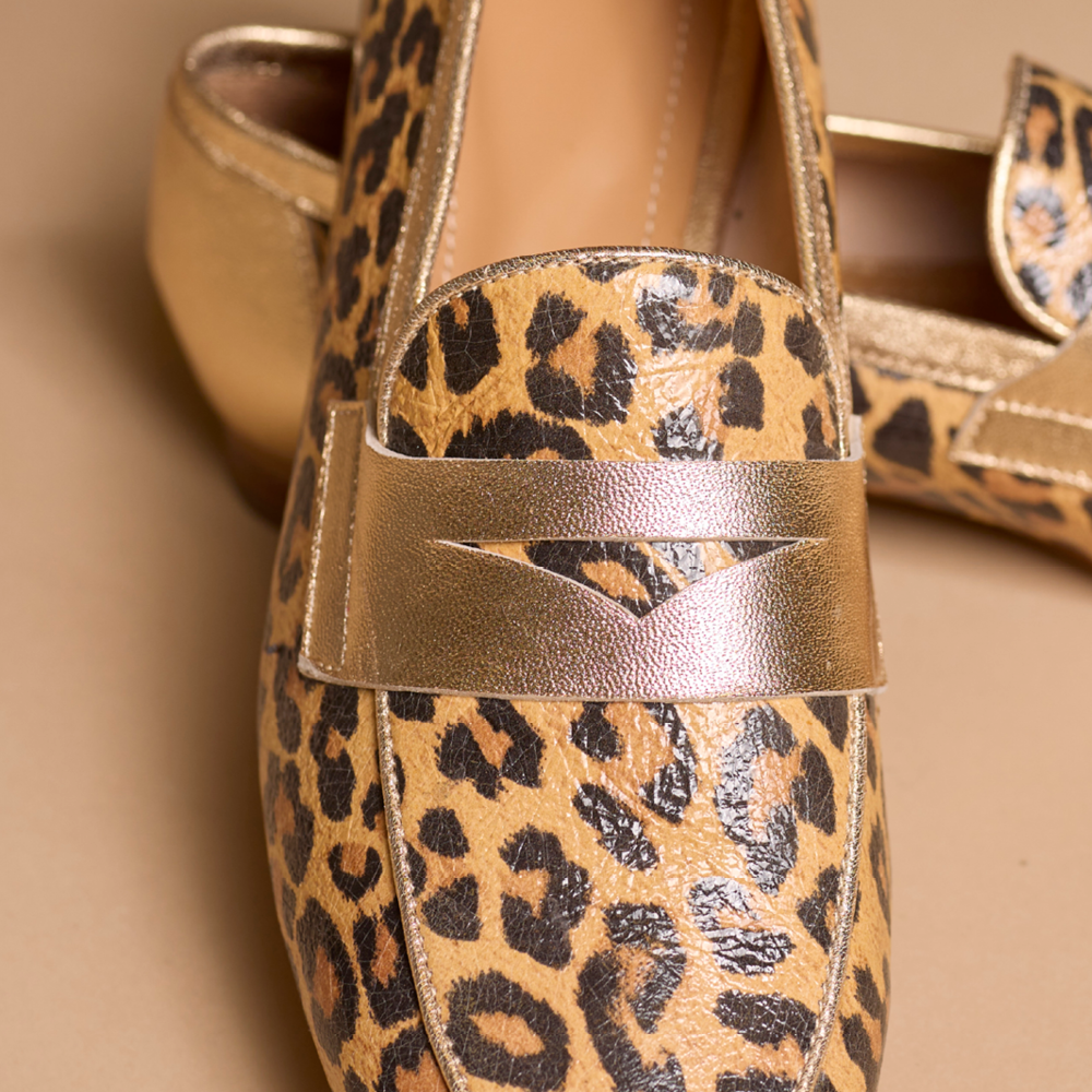 Hardrige, Sagy Léopard