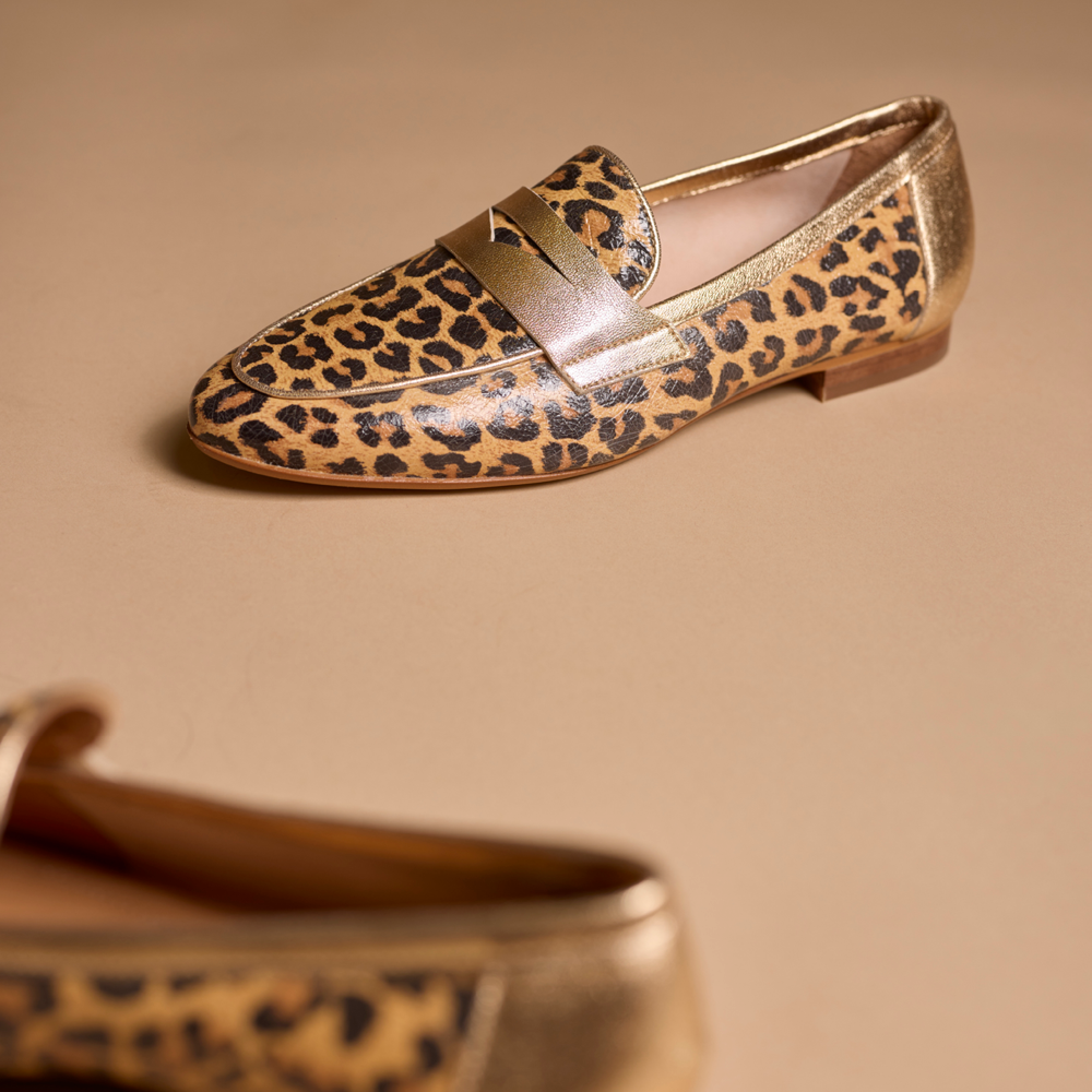 Hardrige, Sagy Léopard