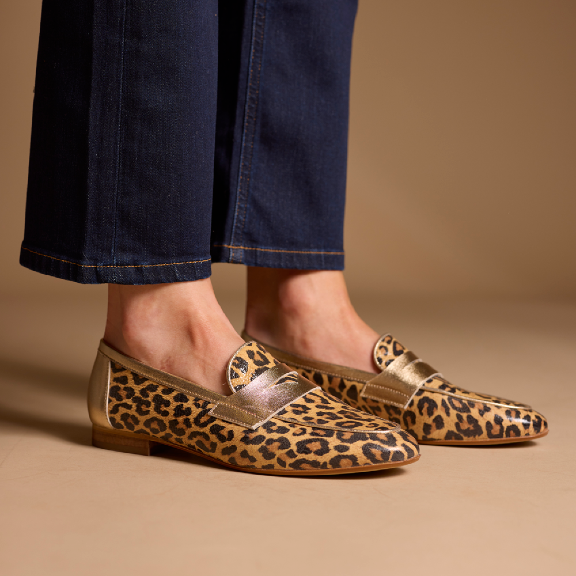 Hardrige, Sagy Léopard