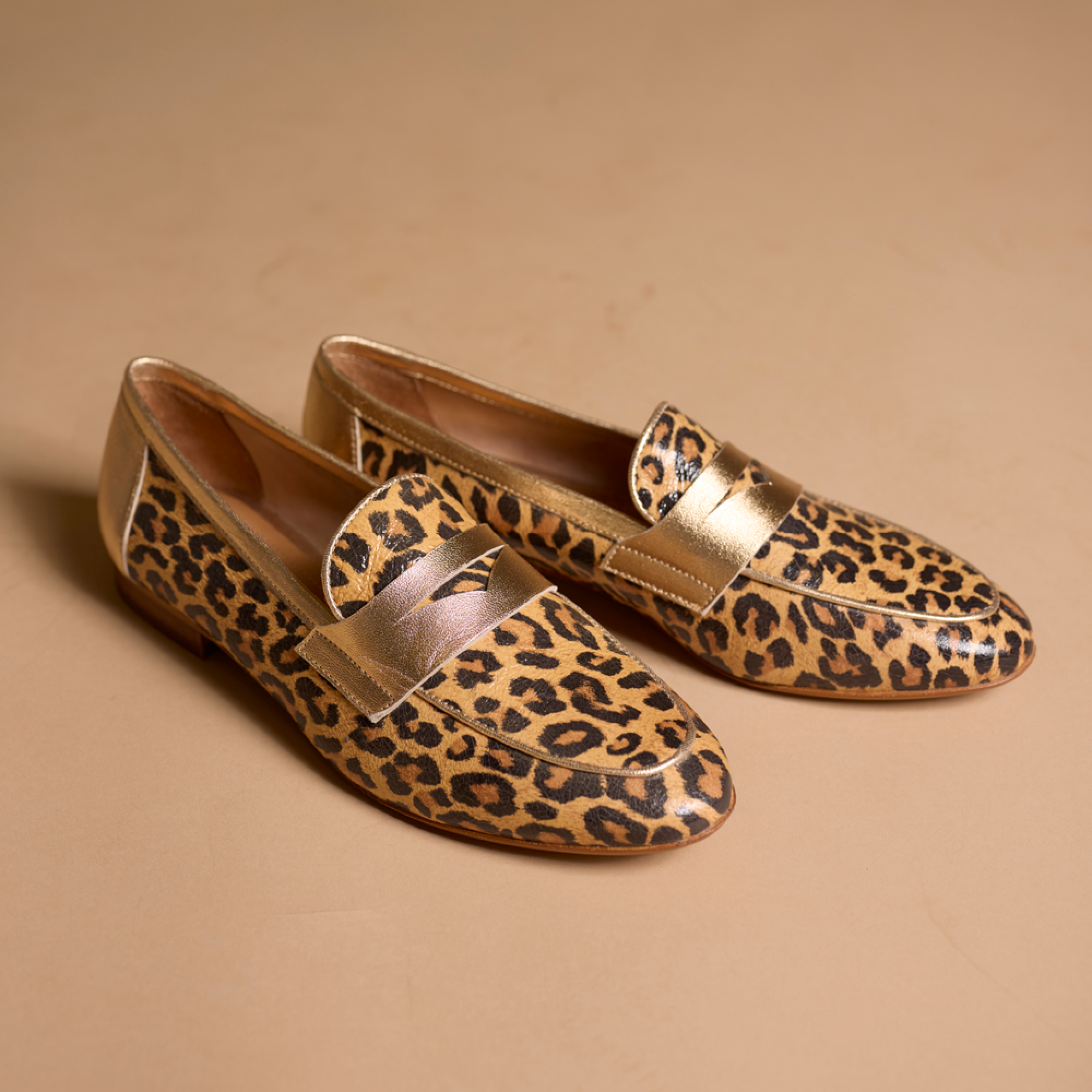 Hardrige, Sagy Léopard