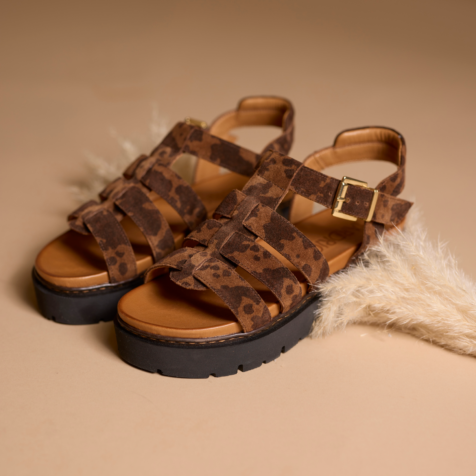 Hardrige, Paola Léopard