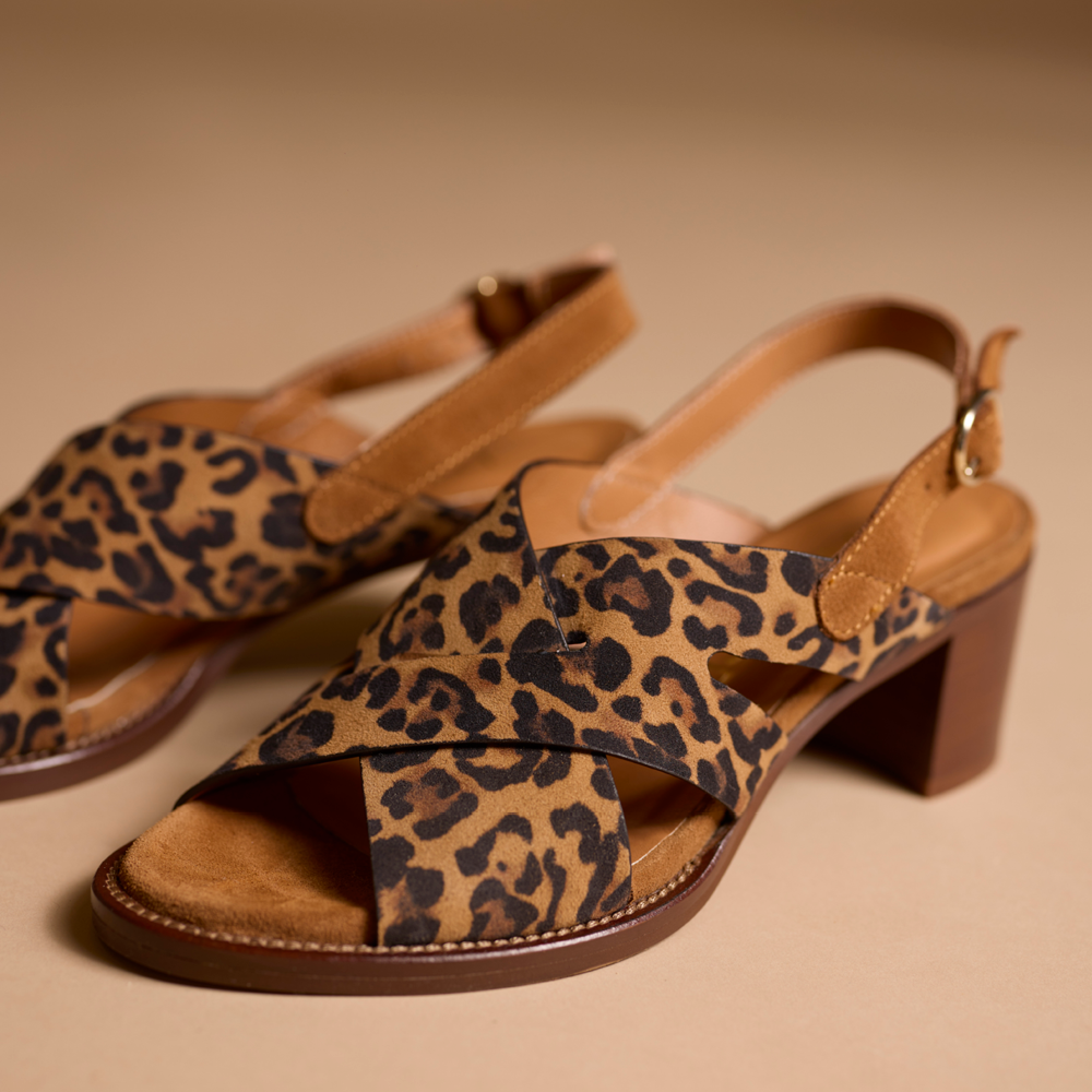 Hardrige, Quitry jaguard