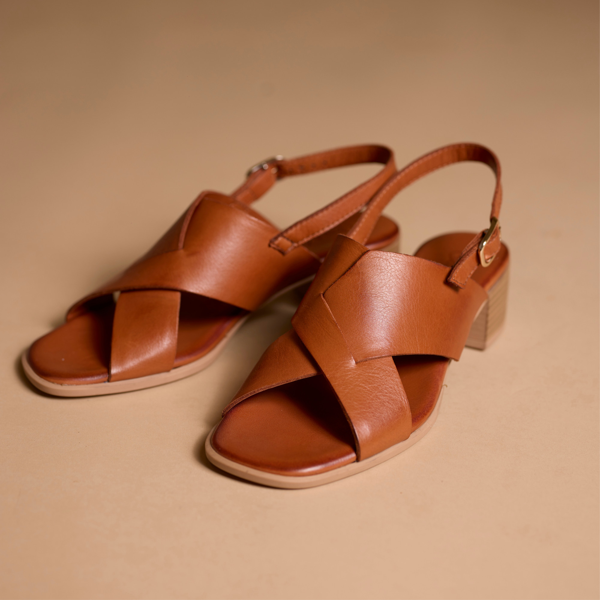 Hardrige, Solys camel