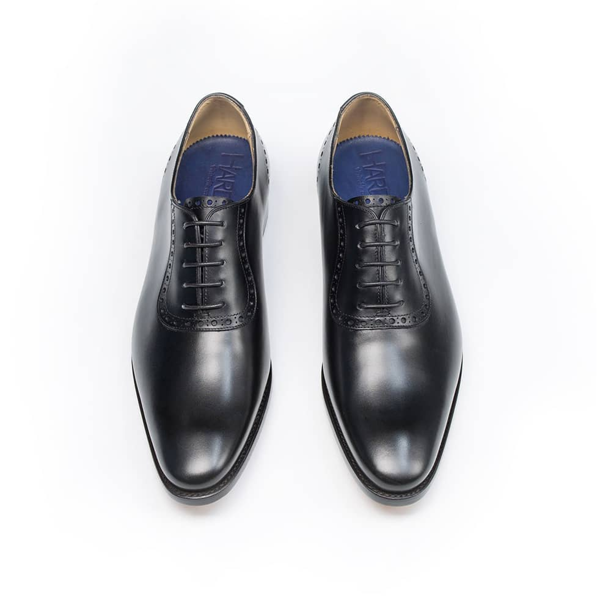Hardrige, Basil noir