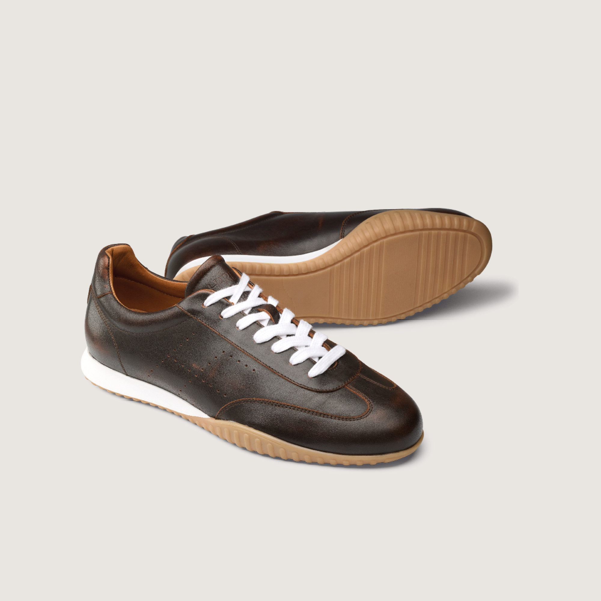 Hardrige, HE03 Marron