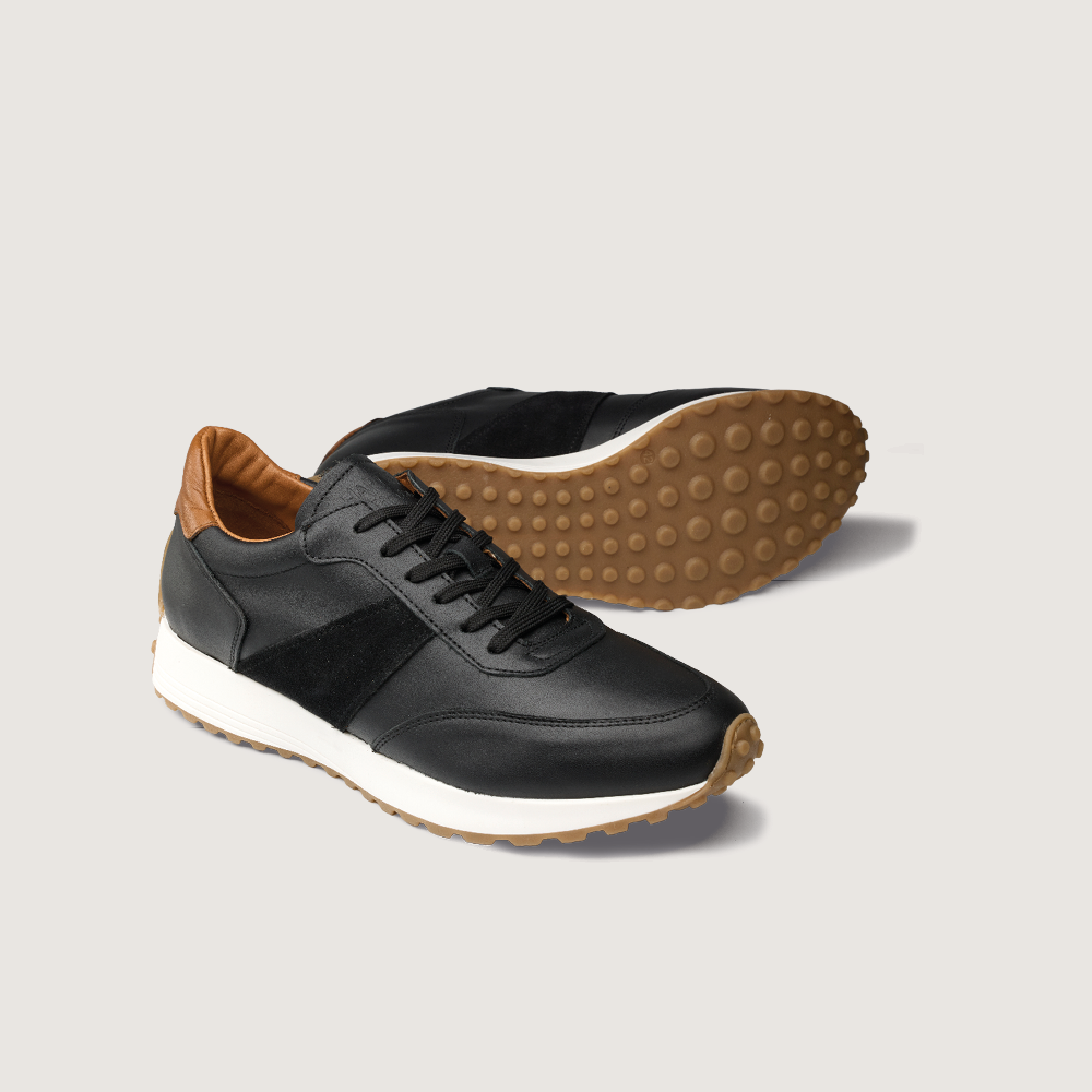 Hardrige, Taylor noir