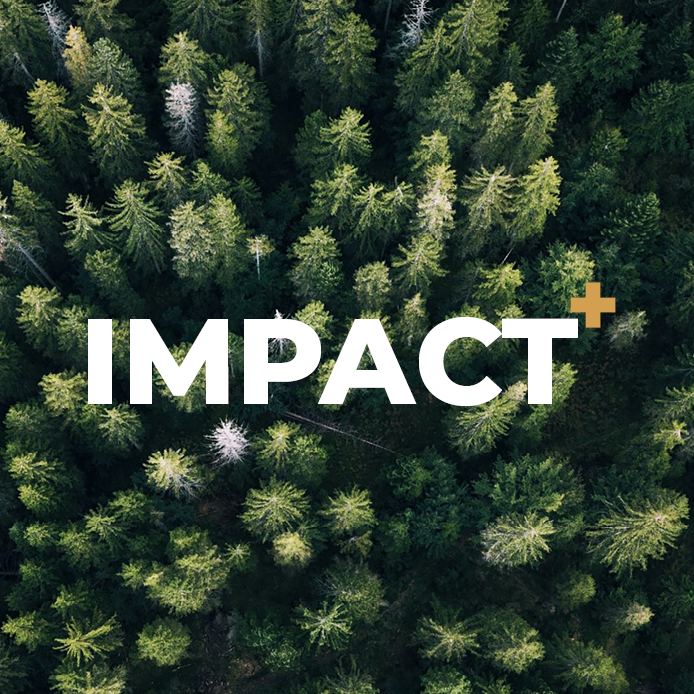 Hardrige, Journal - Actualités, Projet Impact avec My Tree